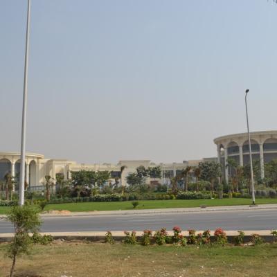 stm