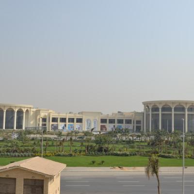 stm